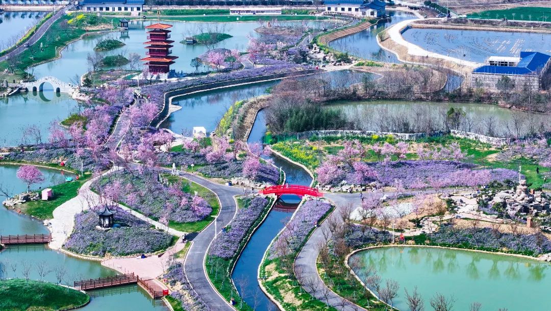 武汉湿地樱花园